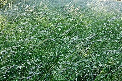 回顾你的年度最佳游戏时刻 2022年PlayStation年度总结上线